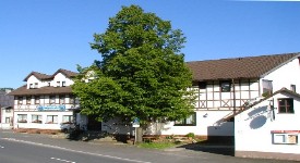 Lindenbaum_Sueden_275x150